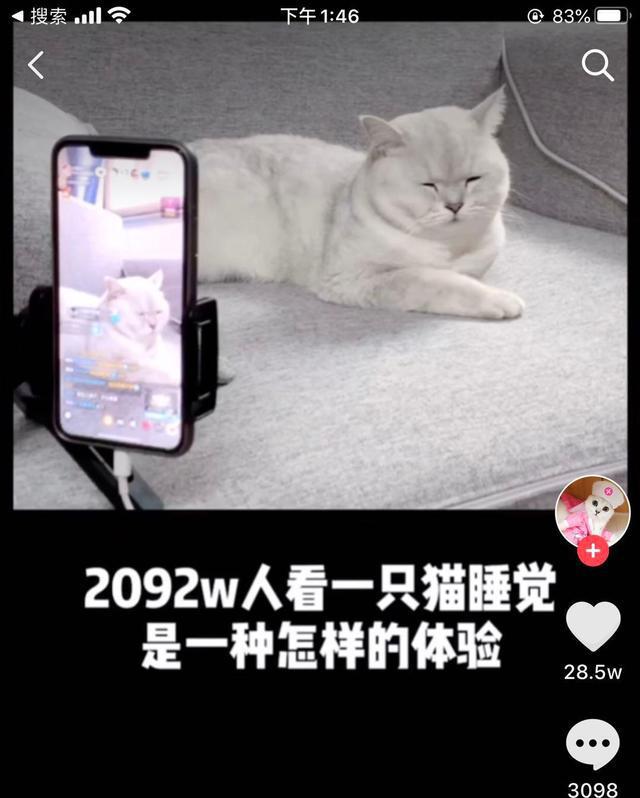 躺赚！美国女网红直播睡觉月入超1400万(图5)