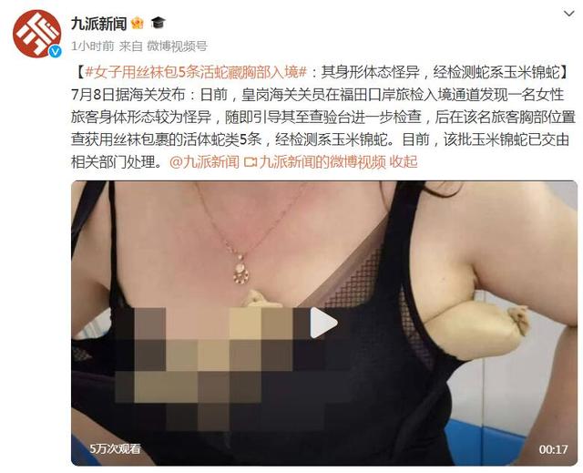 女子用丝袜包5条活蛇藏胸部入境(图1)