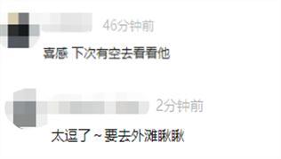 上海南京路“岳云鹏”火了！连网友都说：“整个路口都是他的舞台” 本人回应了(图8)