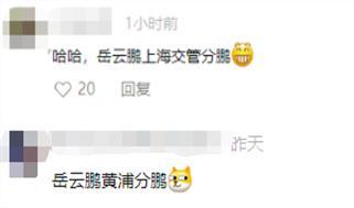 上海南京路“岳云鹏”火了！连网友都说：“整个路口都是他的舞台” 本人回应了(图7)