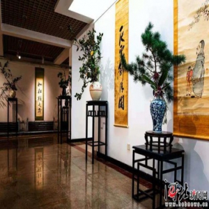 石家庄植物园举办插花花艺展庆祝新中国成立70周年
