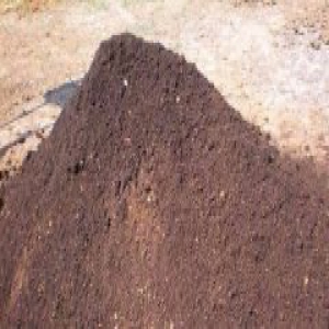 这件事出国才知最不习惯！浙江已推行两个多月，很多人被罚款！