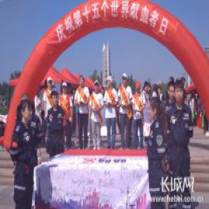 廊坊市开展“6·14世界献血者日”宣传活动侧记