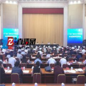 河北省文化产业发展工作现场交流会召开