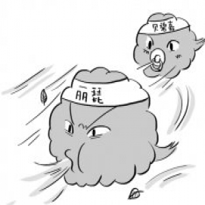 今年夏天的台风 专为江浙沪包邮