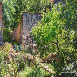 【我的丰收冀】秦皇岛石城子村：好日子就是“石头也香甜”