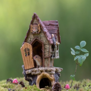 “鼠生”赢家！英国摄影师为老鼠建立精美休养所供其玩耍