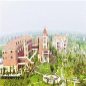 凤凰涅槃 “浙”里俊鸟初长成