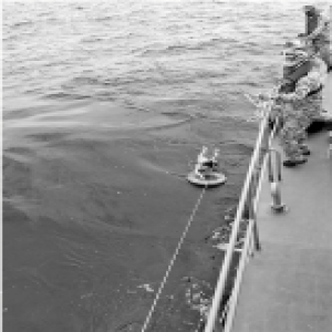 泰国的杭州志愿者：给家属当翻译 浙商全员发动：不能让乡亲孤立无援