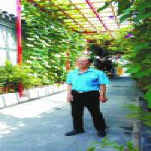 小巷管家金大钧：口袋花园让胡同飘香