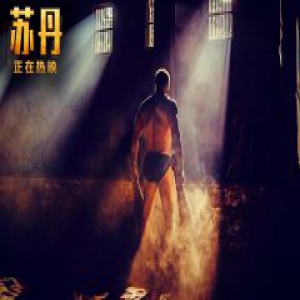 印度电影《苏丹》热映口碑发酵 实力强劲有望长线发力