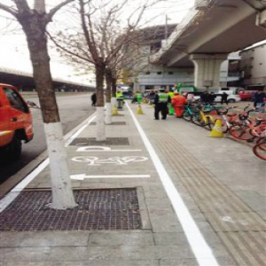 新区在塘沽施划共享单车停车线位