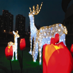 天塔风景区动物LED灯光秀 成网红打卡地