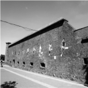 加里宁格勒：飞地上的足球盛宴