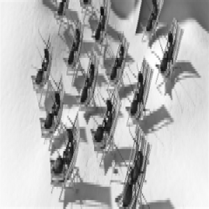 蚂蚁告诉我们 团队七分“懒”，效率才更高