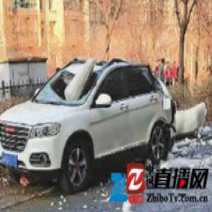 一吨冰块砸扁SUV/揭其原因内幕真相