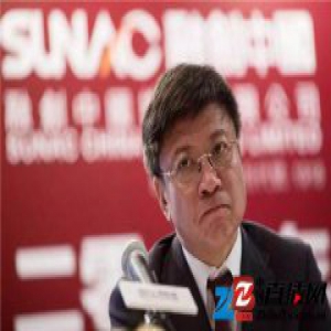 孙宏斌承认失败 散户在炒 游资在炒 挺要命