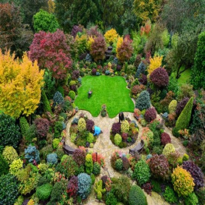 英国老夫妇巧手打造“四季”花园 色彩斑斓留住四季风光