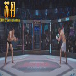 阿米尔·汗力荐印度神作《苏丹》点映大捷 满场好评笑泪横飞