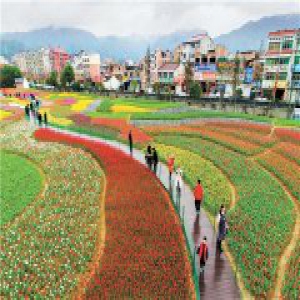 美丽乡村 奔向新风景