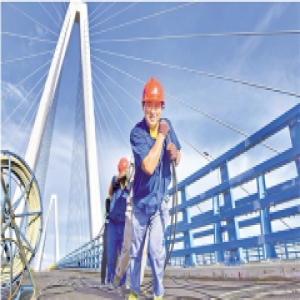 乐清湾大桥 加紧扫尾