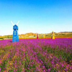 国内唯一！河北童话主题草原景区惊艳双眼