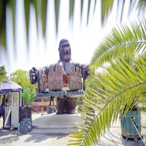 水上公园游乐场 新增多项游乐设施