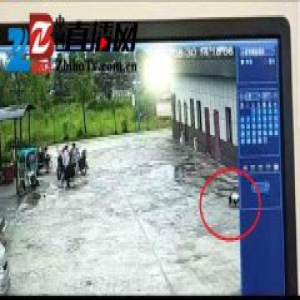 悲剧！成都一父亲开车撞死9岁女儿 疑因右侧盲区