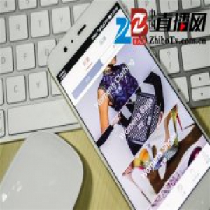 走秀网CEO因走私被捕货源成奢侈品电商掣肘