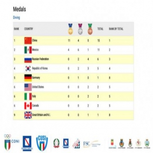 大夏会中国跳水队完美收官