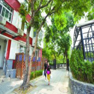 架空线入地 北段路拓宽 体育馆西路变精品街