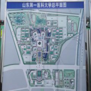 山东第一医科大学最快明年招生 志在跻身国内同类高校前10