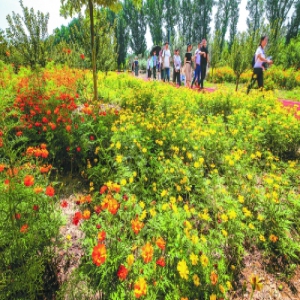 大兴：大尺度打造绿色空间 建设大美新国门