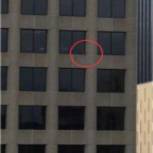 昨天，全世界都在围观这只有超能力的“干脆面”