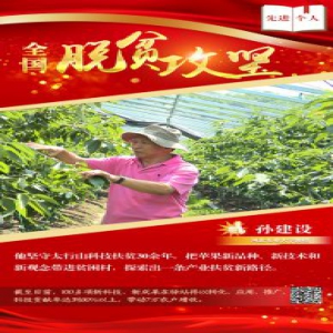 《2019全国脱贫攻坚奖》人物系列⑤孙建设：坚守科技扶贫