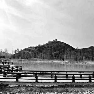 白河城市森林公园十一免费开放