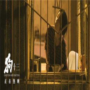 《狗十三》票房连续逆跌观众明星齐发声 口碑视频有赞有真相