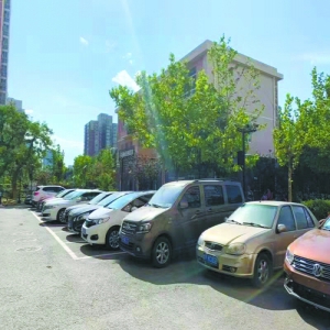 苹果园中路15号院 露天垃圾清空楼道恢复通畅