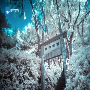 “孤山不孤，西泠不冷”浙江卫视揭秘你未曾见过的“孤山路31号”