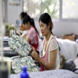 山东郯城：“布艺狗窝”助农增收