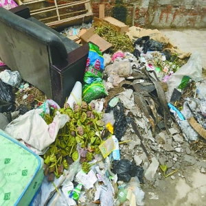 李家桥村缺少大号公共垃圾桶 生活垃圾乱倾倒