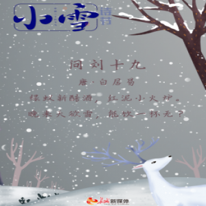 小雪诗节丨静静地听 雪落下的声音