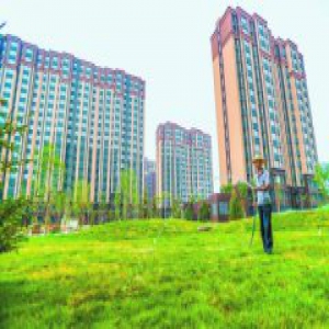 楼被公园包围 新机场回迁居民九月搬新家