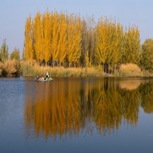 河北雄安：白洋淀上秋意浓