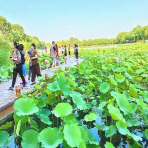 北京已建成615处公园 576处免费 一年接待3亿人次