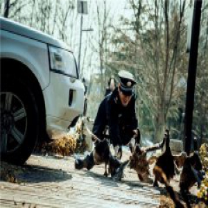 《站住！小偷》片场变动物乐园 搞笑气氛呼之欲出