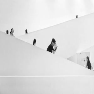 SHOW出年度大片 中兴手机带你领略生活之美