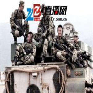 《战狼2》的资本狂欢：拿下5.4亿票房成黑马