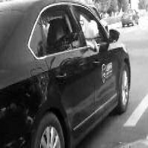 宠物狗公务车兜风 回复:纪委已介入调查