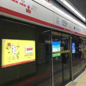 官宣！仲景宛西制药在郑姆斯特丹的地铁上陪伴你~